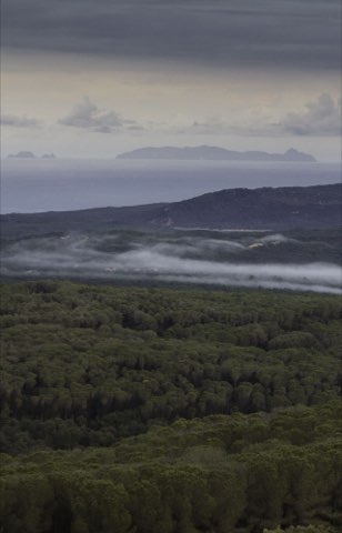 Looking north to the Galite islands